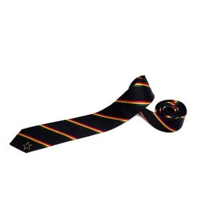 Best Country and US State Inspired Ties, 100% Woven Silk - Image 4