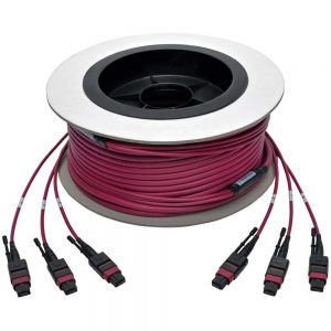 Tripp Lite N858-23M-3X8-MG MTP/MPO MultiMode Base-8 Trunk Cable 23 M