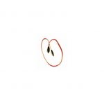 iMicro GSA100-I18 18inch SATA to SATA Cable