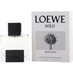 EAU DE PARFUM SPRAY 1.7 OZ - SOLO LOEWE MERCURIO by Loewe