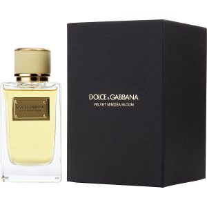 EAU DE PARFUM SPRAY 5 OZ - DOLCE & GABBANA VELVET MIMOSA BLOOM by Dolce & Gabbana