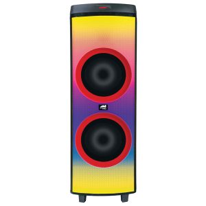 Naxa NDS-1250 Sound Pro Dual 12-Inch 6
