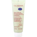 Purifying Gentle Foaming Cleanser with Alpine Herbs & Meadowsweet Extracts - Combination to Oily Skin  --125ml/4.2oz - Clarins by Clarins