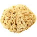 SPA SISTER MEDITERRANEAN WOOL SPONGE - SMALL - SPA ACCESSORIES by Spa Accessories