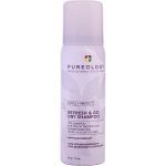 STYLE + PROTECT REFRESH & GO DRY SHAMPOO 1.2 OZ - PUREOLOGY by Pureology