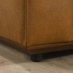 Hanky  Geniune Tan Leather Sofa - Image 4