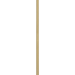 Vista Single Pendant Chain Hanging Light with Clear Glass - Satin Brass